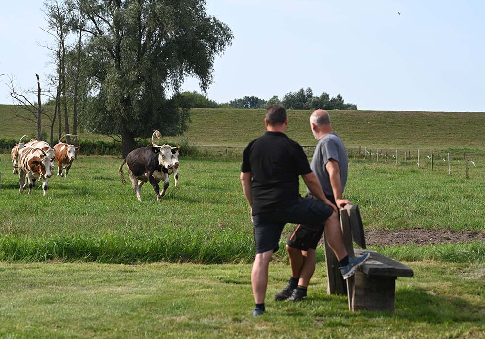 Markus Leggedör vor Ort bei einem Landwirt
